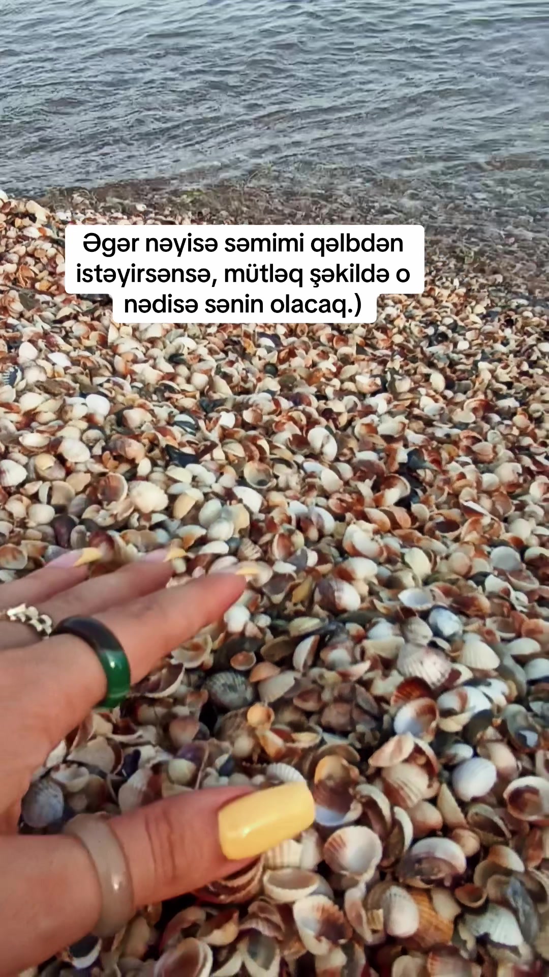 @Vefa Alekperova