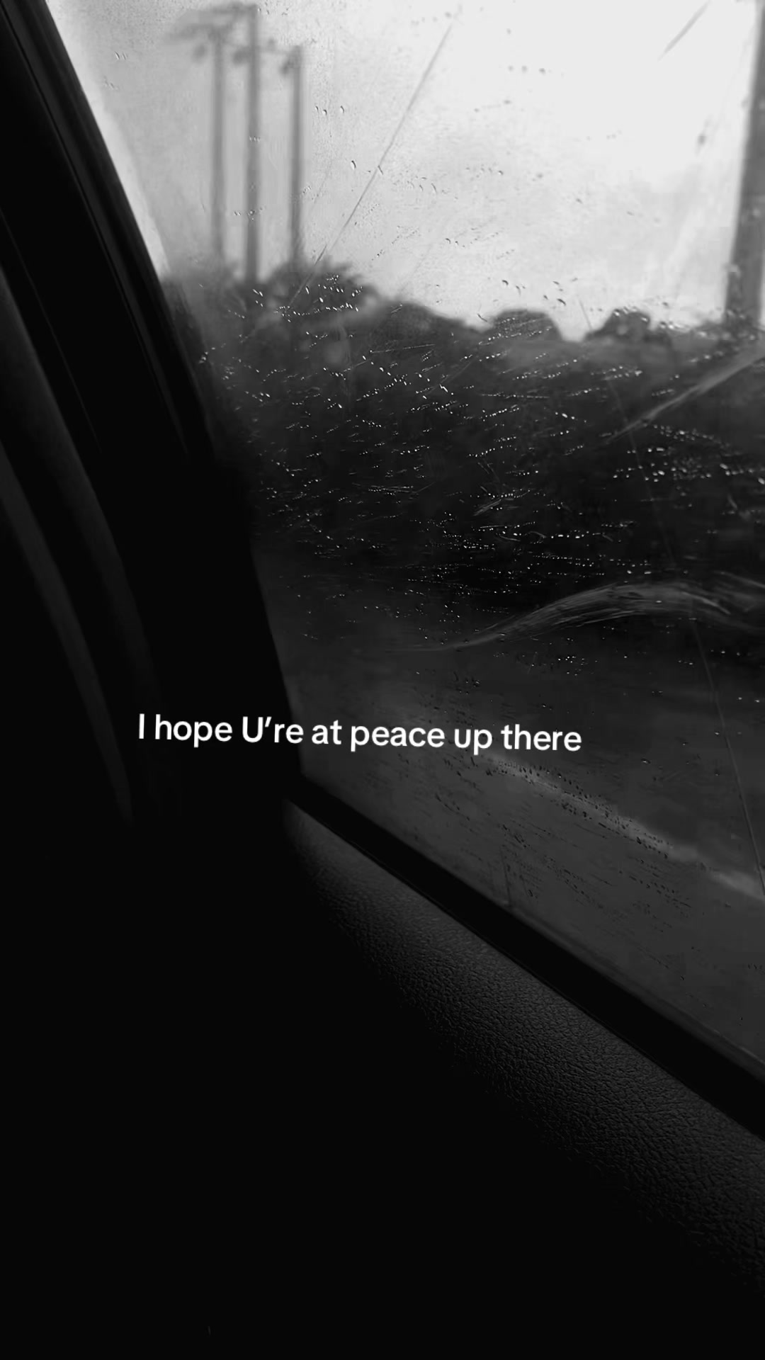 @chy_somm🧚&zwj;♂️