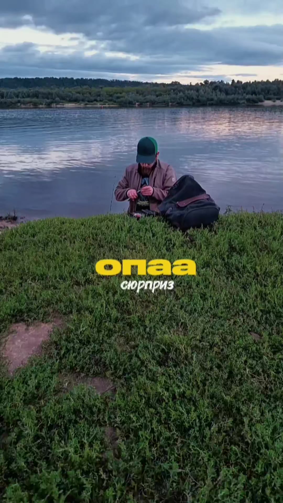 @Malaia