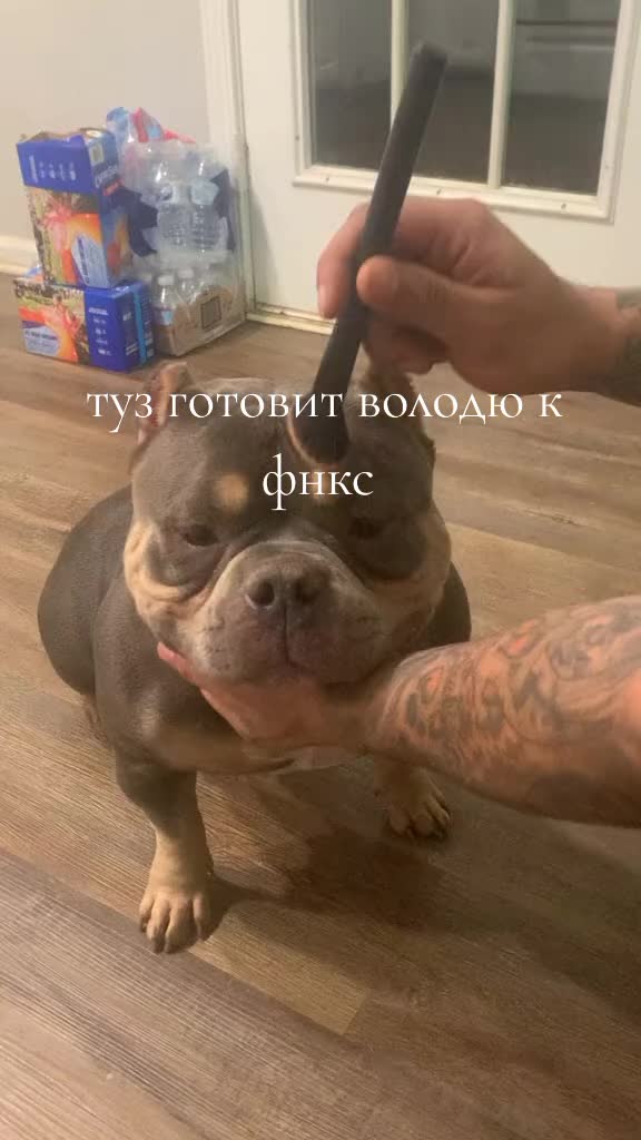 @₭₳4Ø₭_₮ØØ₴Ɇ6