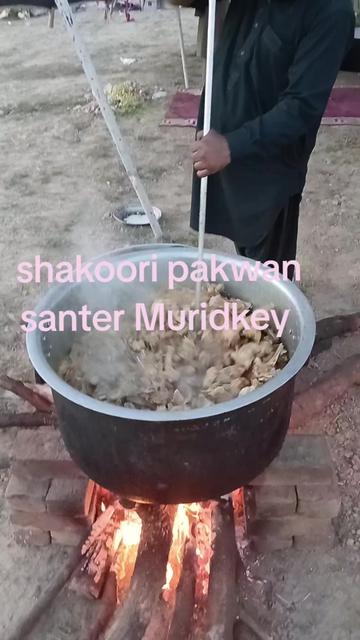 @🔪Mohsin shakoori 🔪