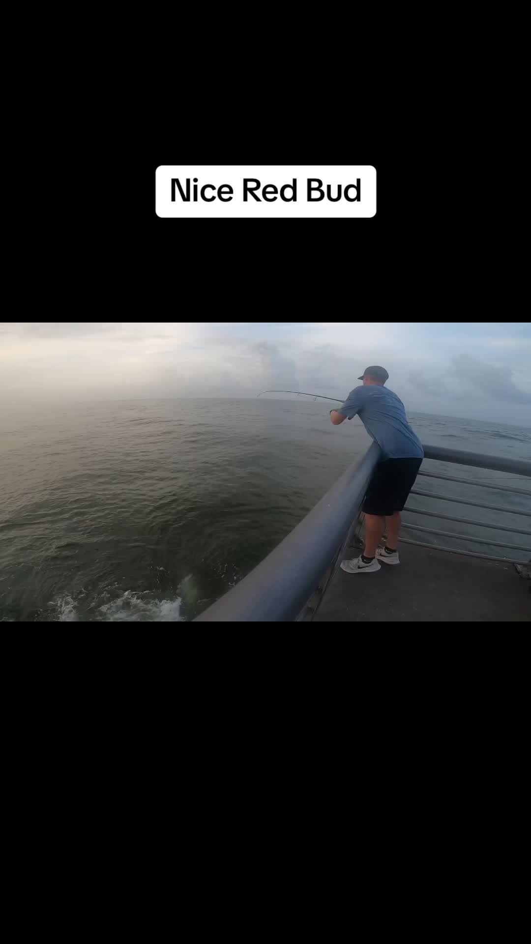 @SebastianNetGuy