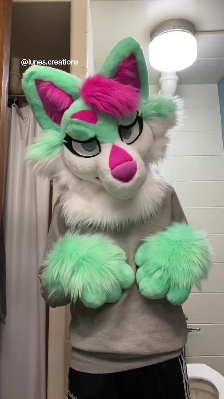 @𝐋𝐮𝐧𝐞 /ᐠ ̥ ̮ ̥ ᐟ\