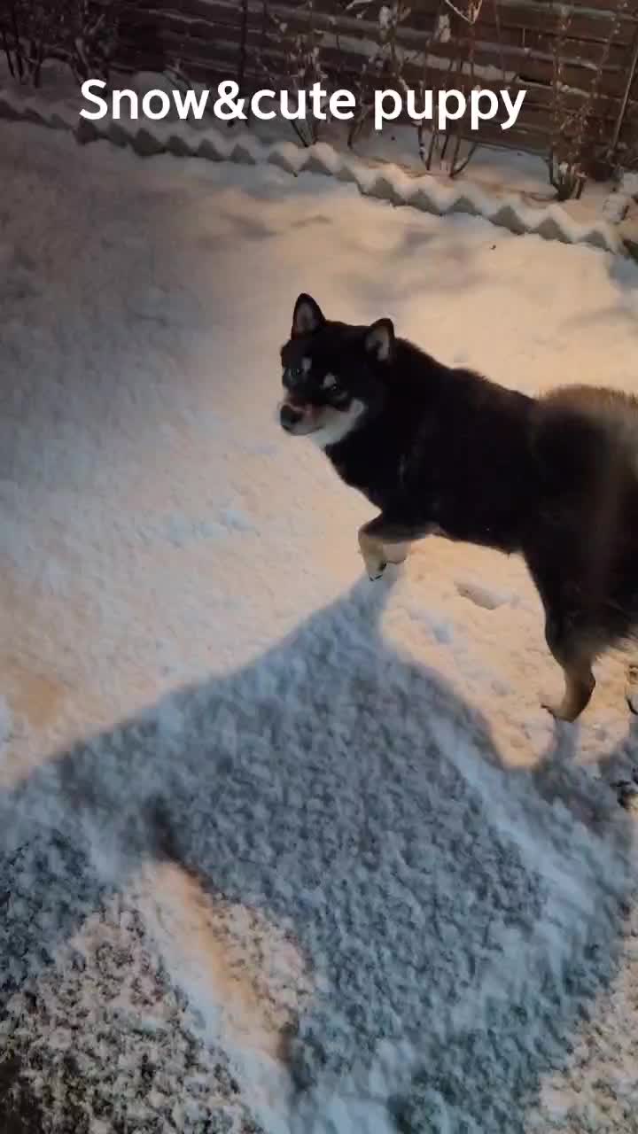 @연탄똘이
