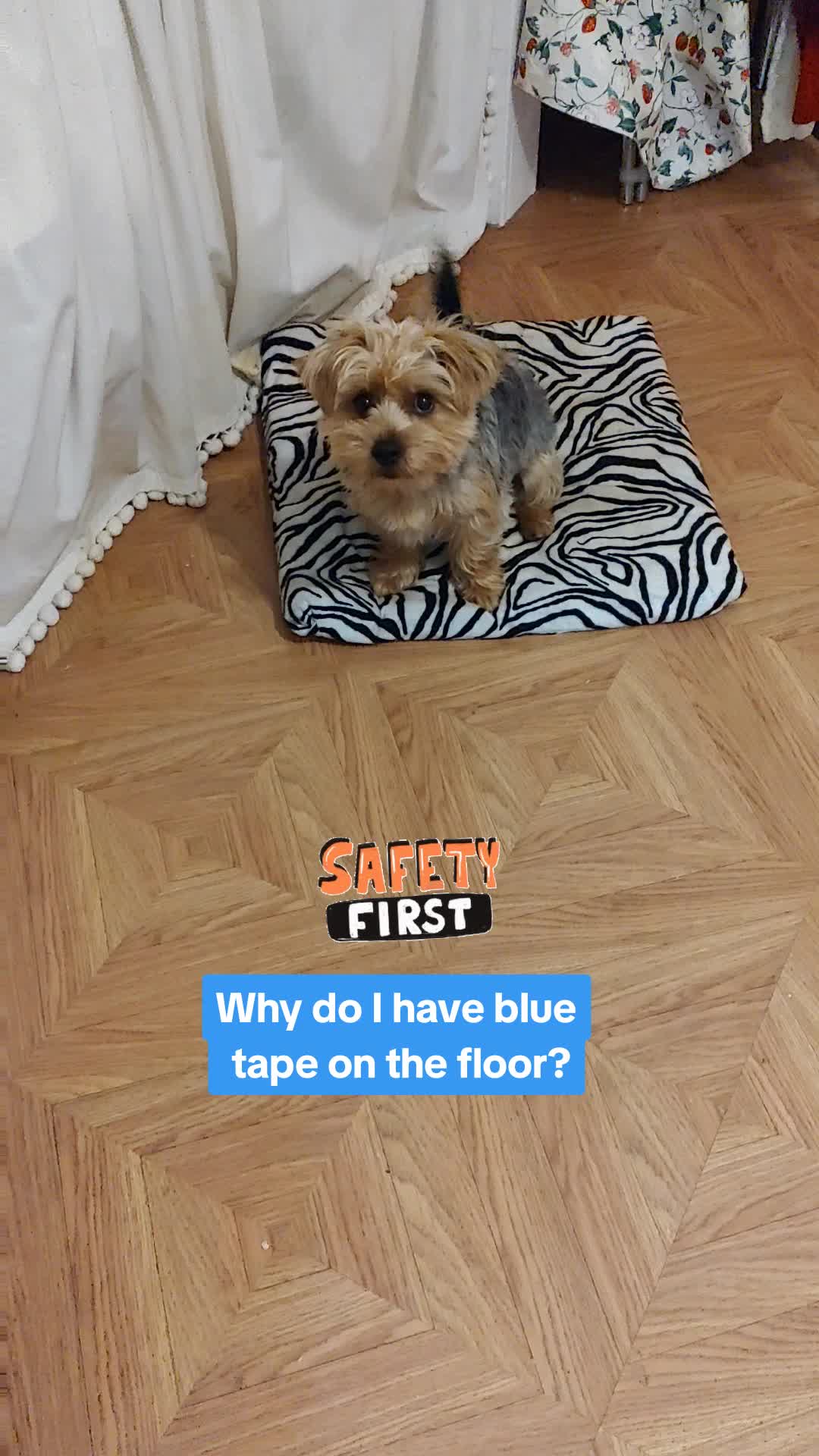 @TeachersPetSitting