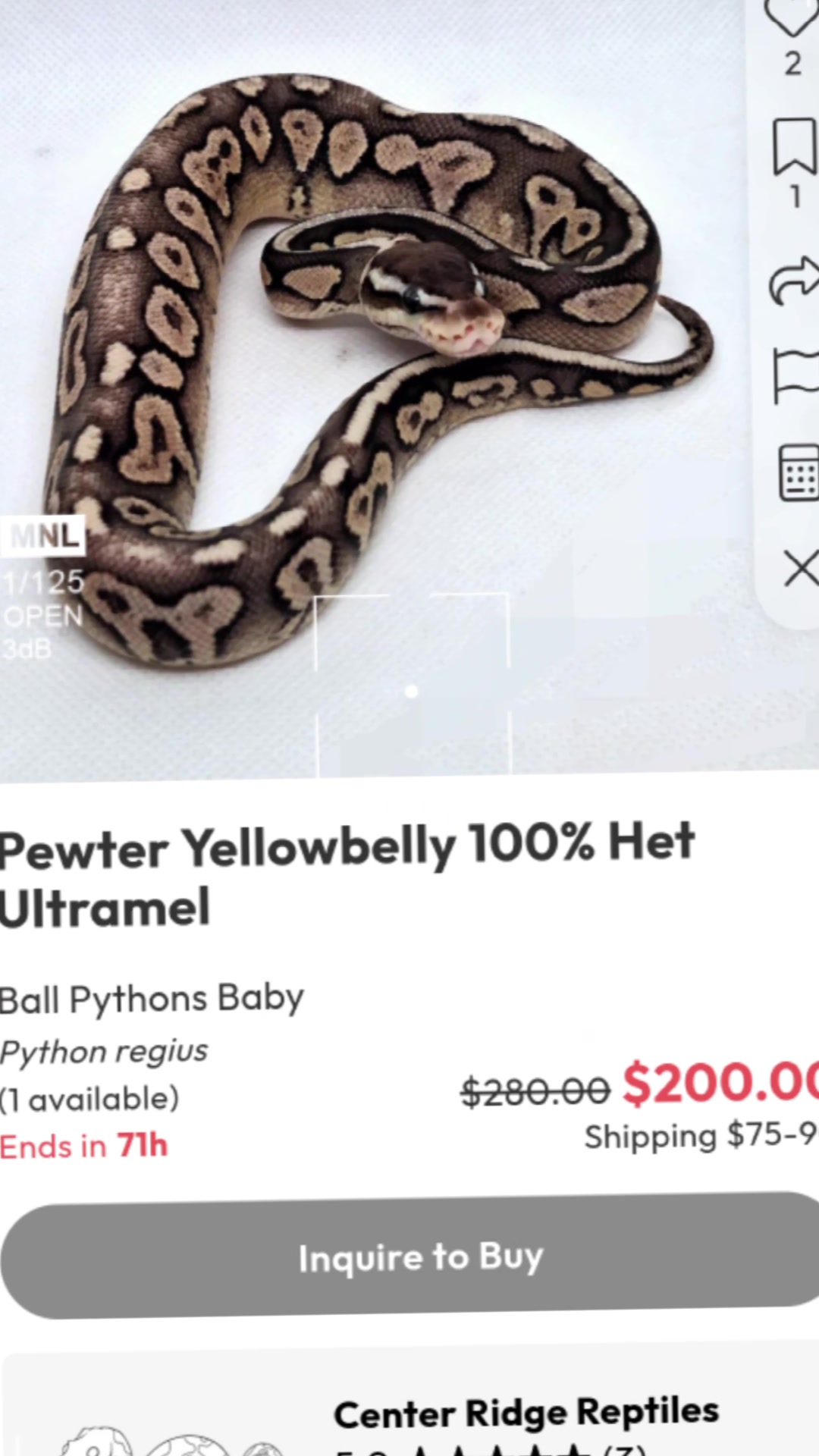 @⛓️🐍Syntr(CRR)🐍⛓️