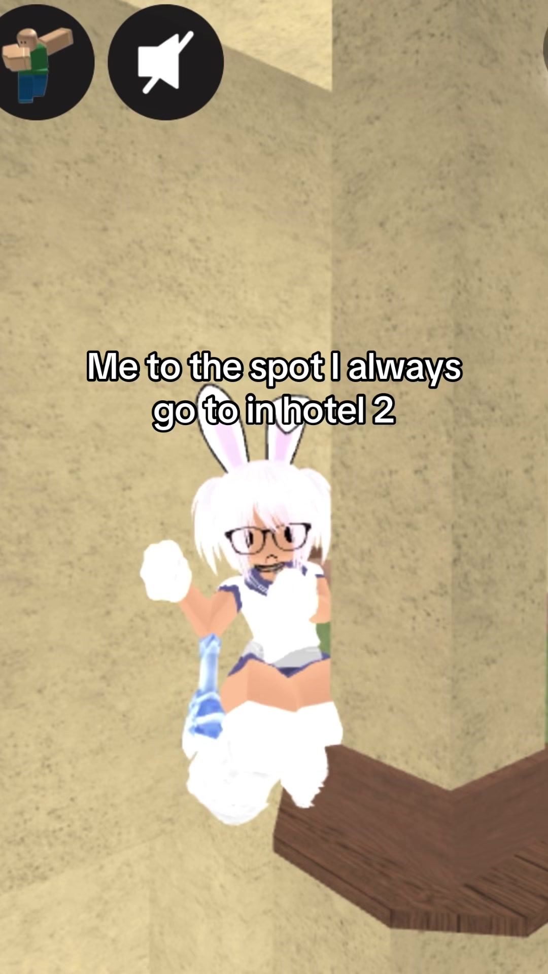 @novenhopz