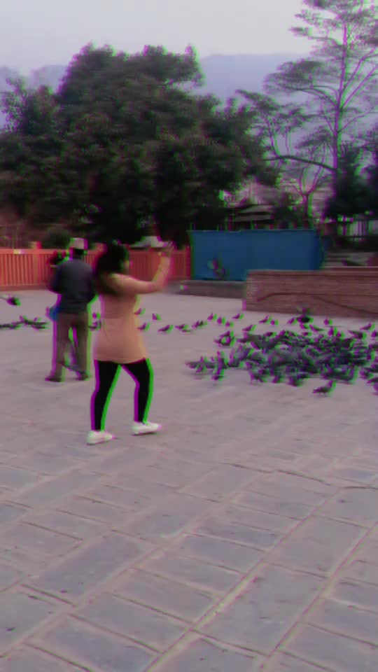 @Tiktok viewer
