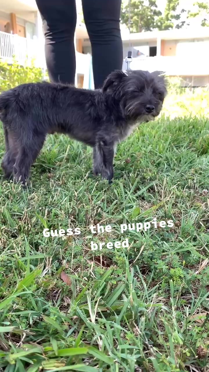 @BennyBenBen