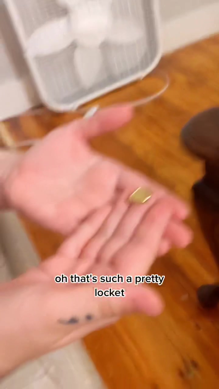 @gav/neptune (jaime’s version)