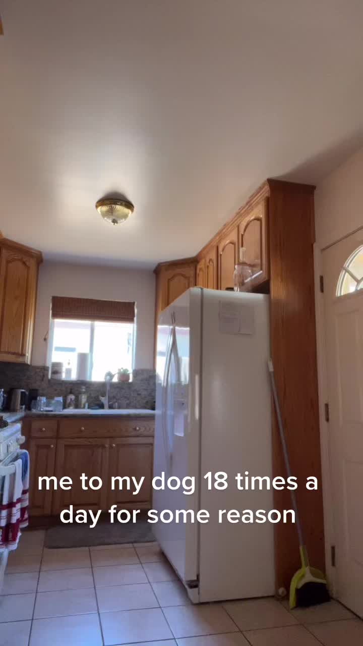 @angstygrandma_
