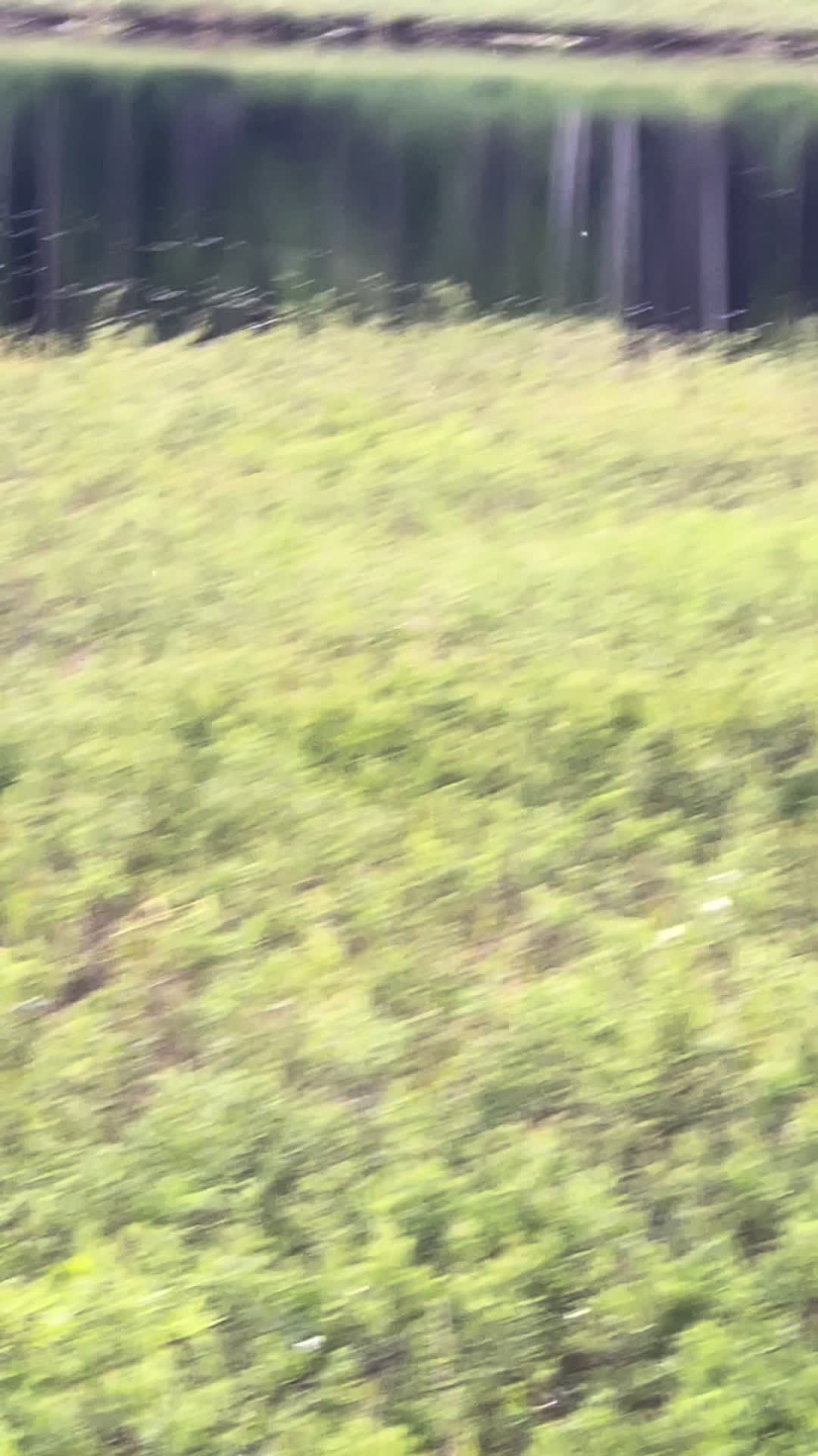 @Ari
