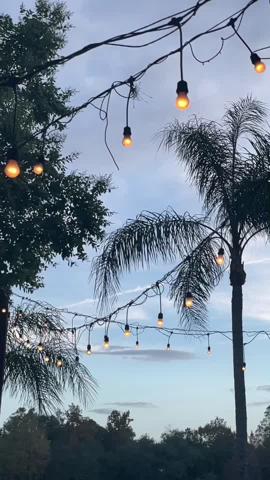 @Mia 🤍