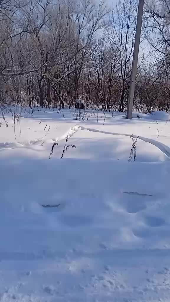 @одинокий волк