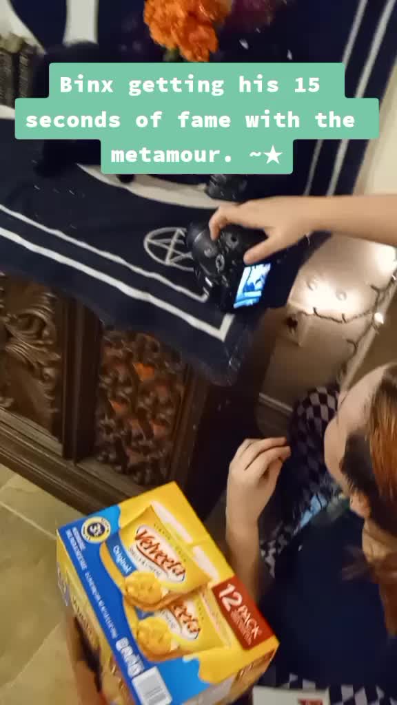 @stardustdennison