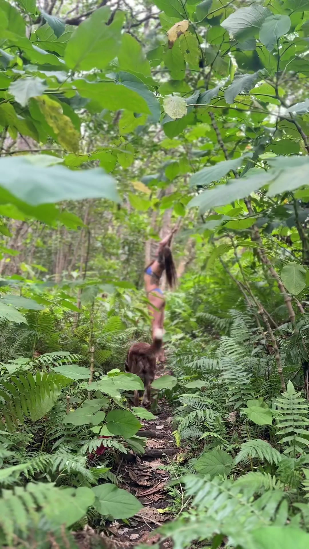 @kaiasummer53