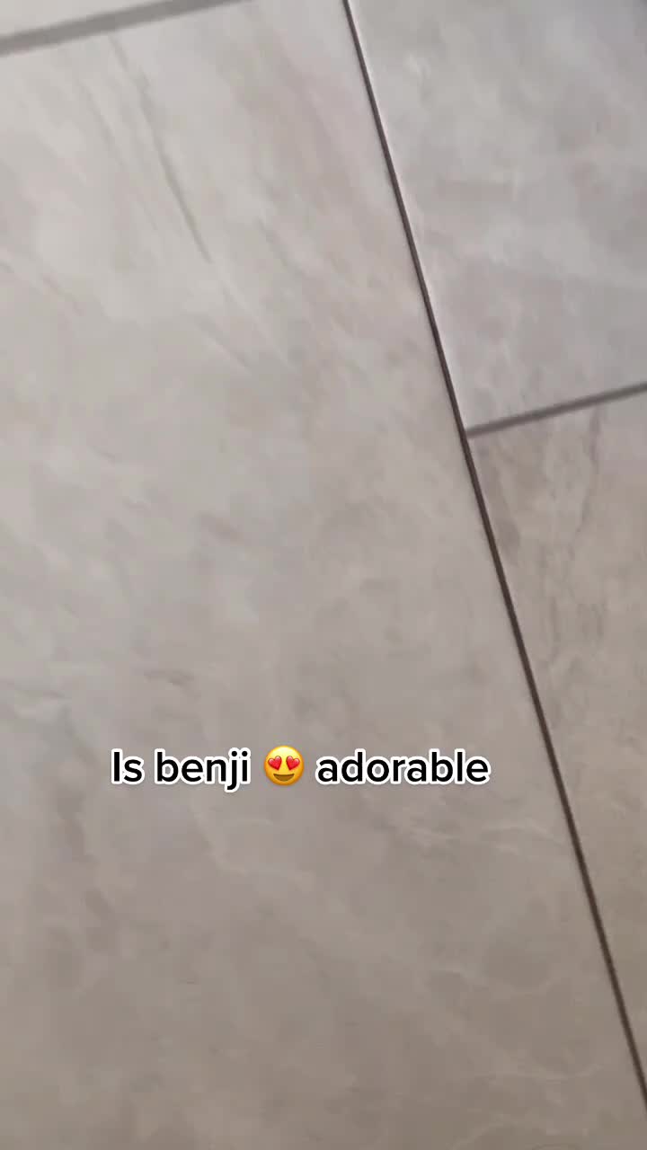 @Benji The Pug