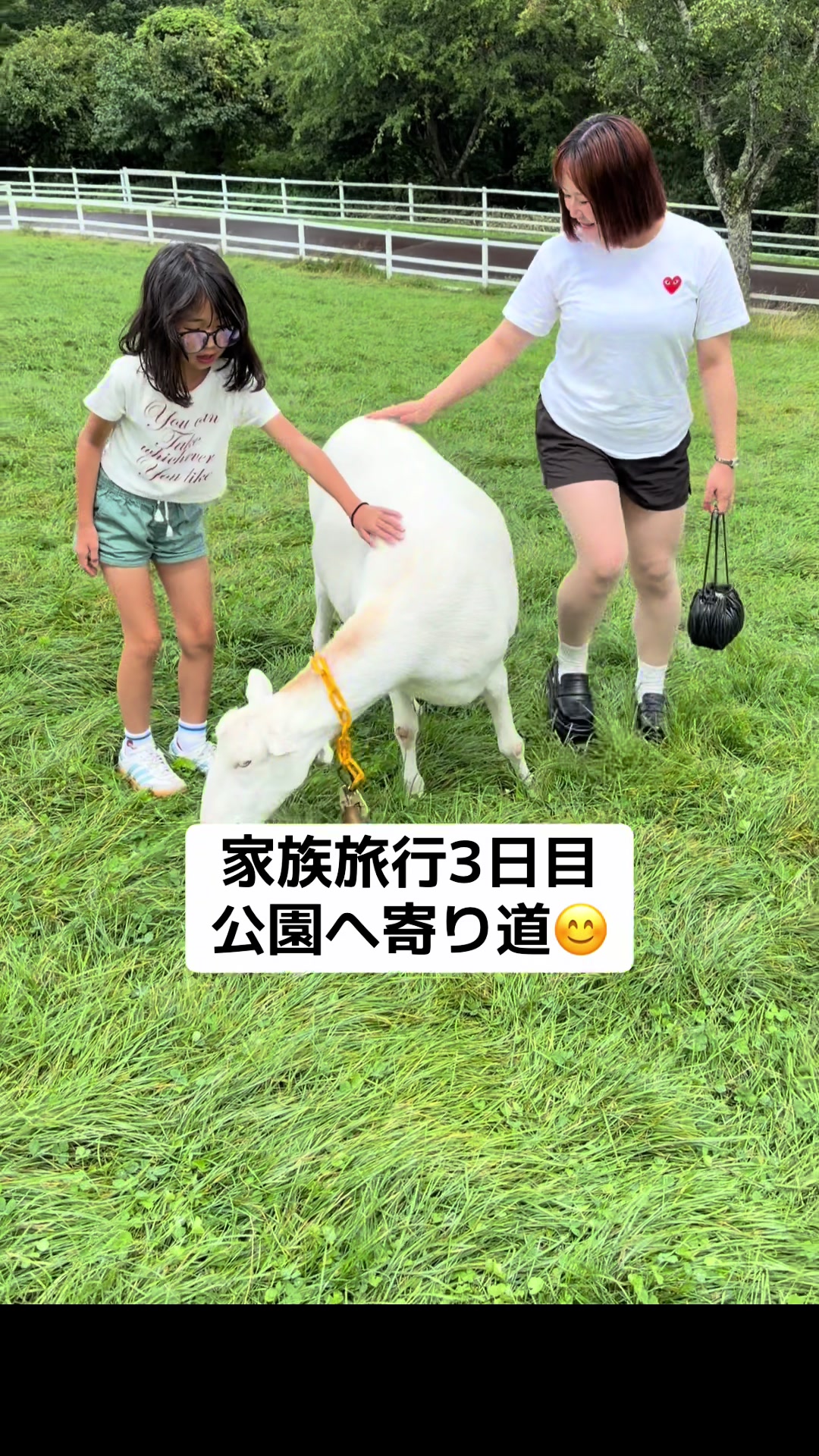 @ððïŒRããðð