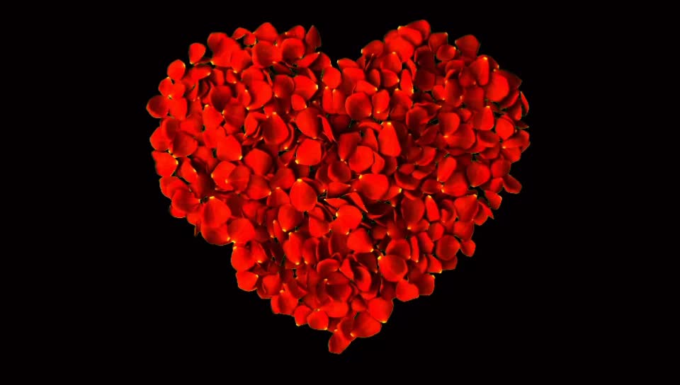 @hiran