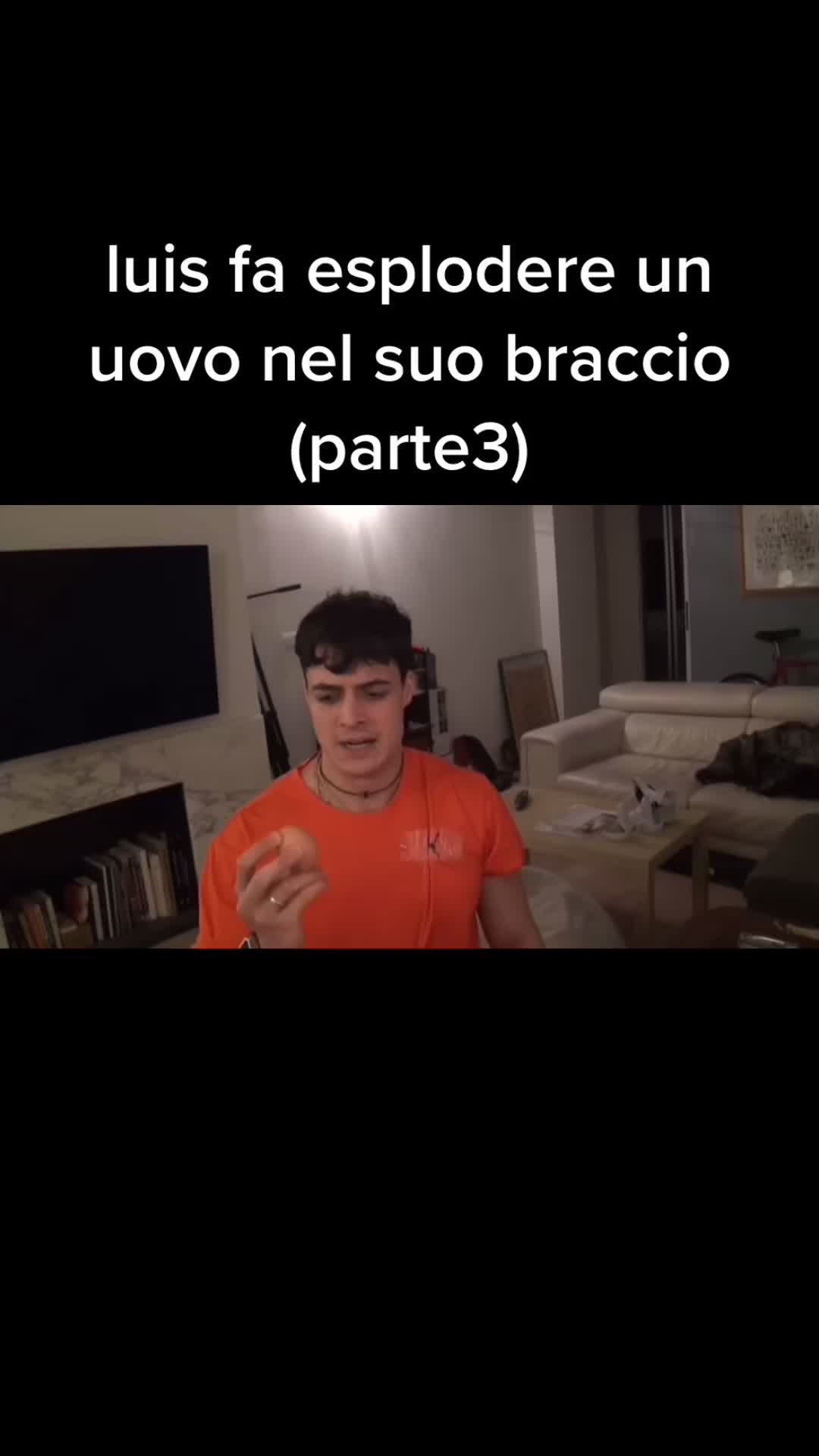 @zucchine rumene