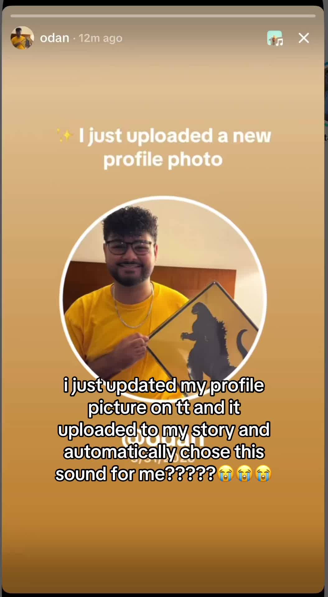 @ankylodan