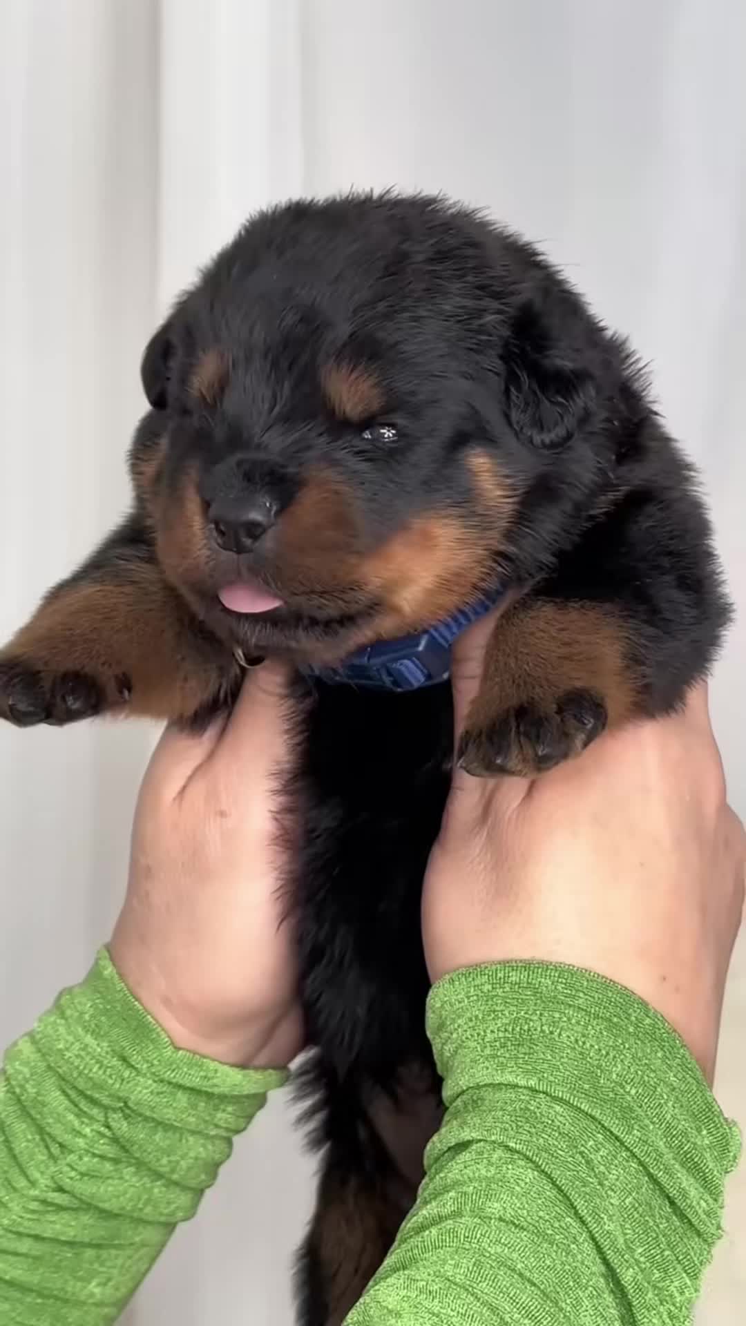 @cuteanimals472