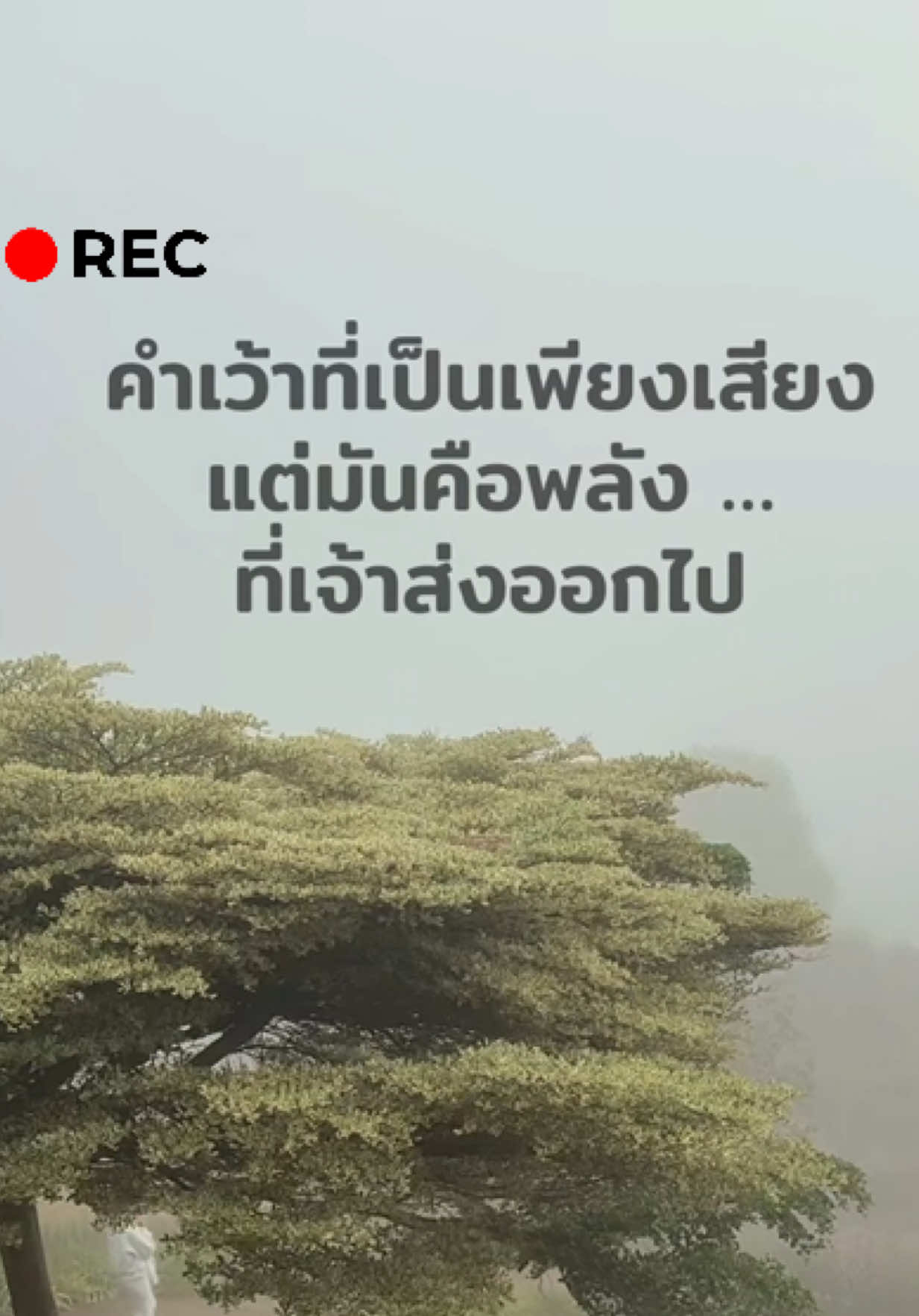 @ຊ້ອຍ ພອນສະຫວັນ (CEO PARADISE)