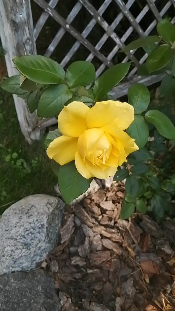 @Татьяна