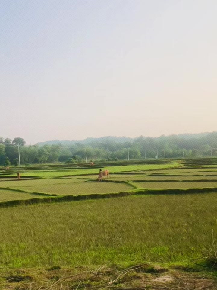 @Pratham