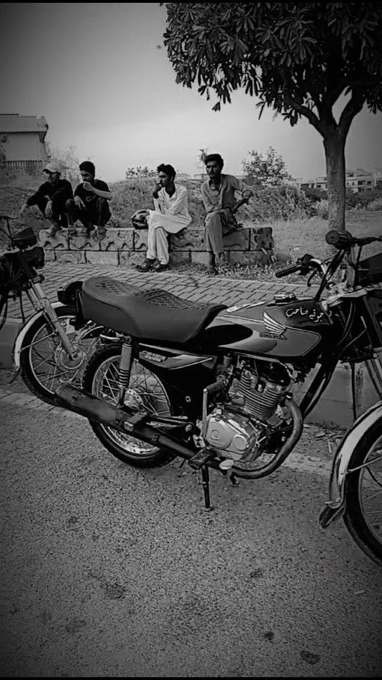 @murshad chiniot ala