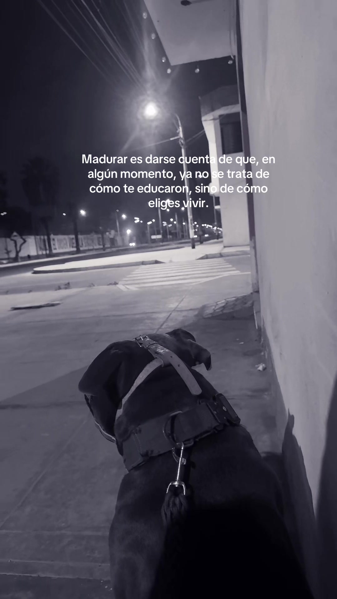 @Rubi C. 👩🏻🦽