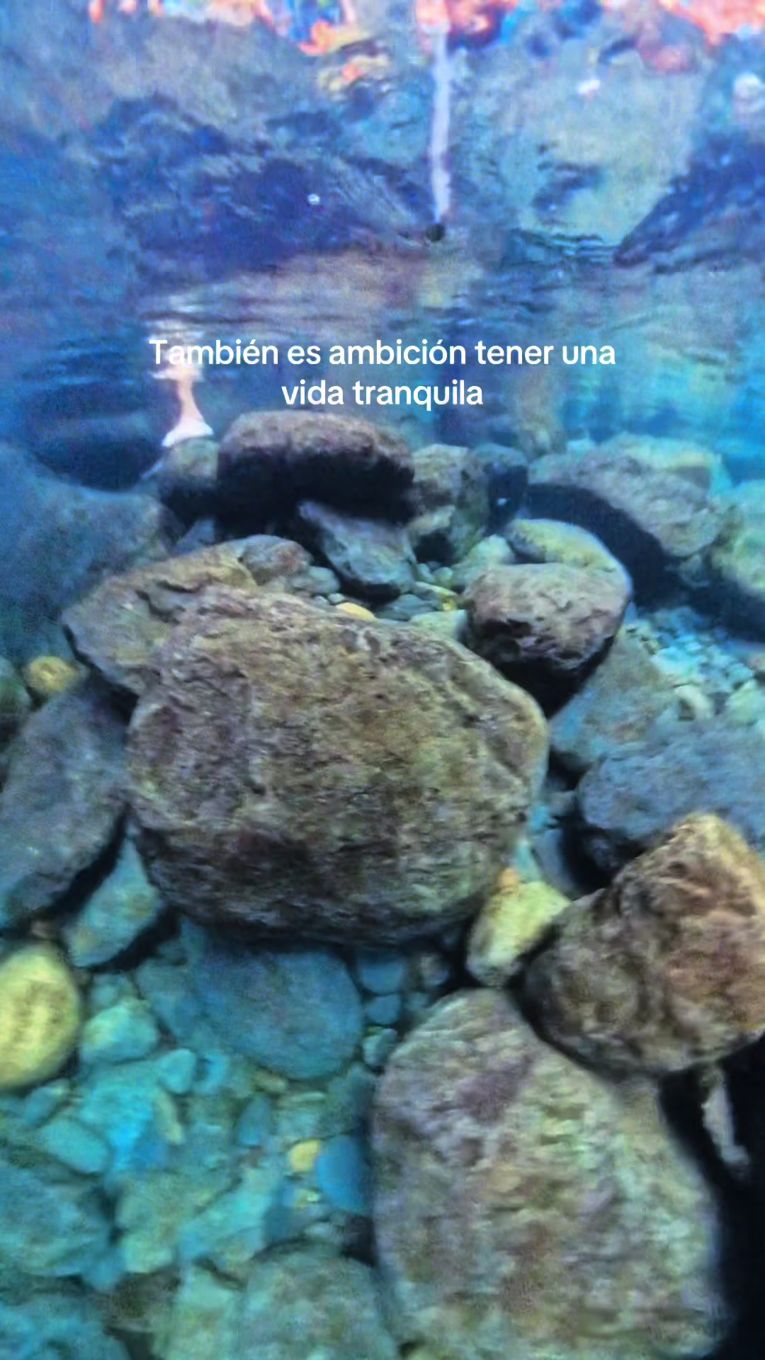 @a todo trekking bol.
