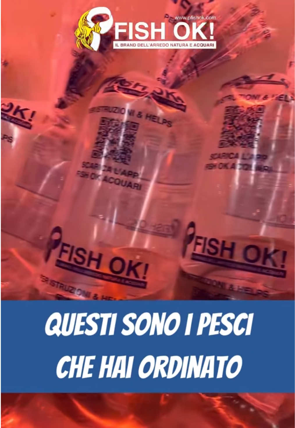 @Fish Ok