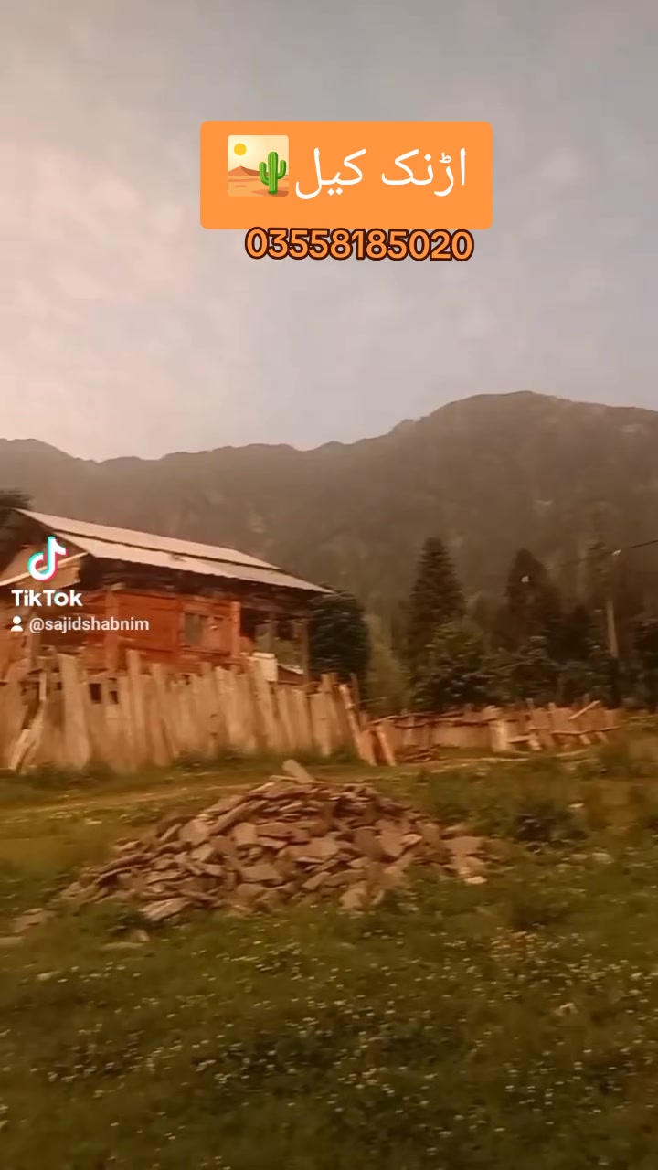 @sajid 786