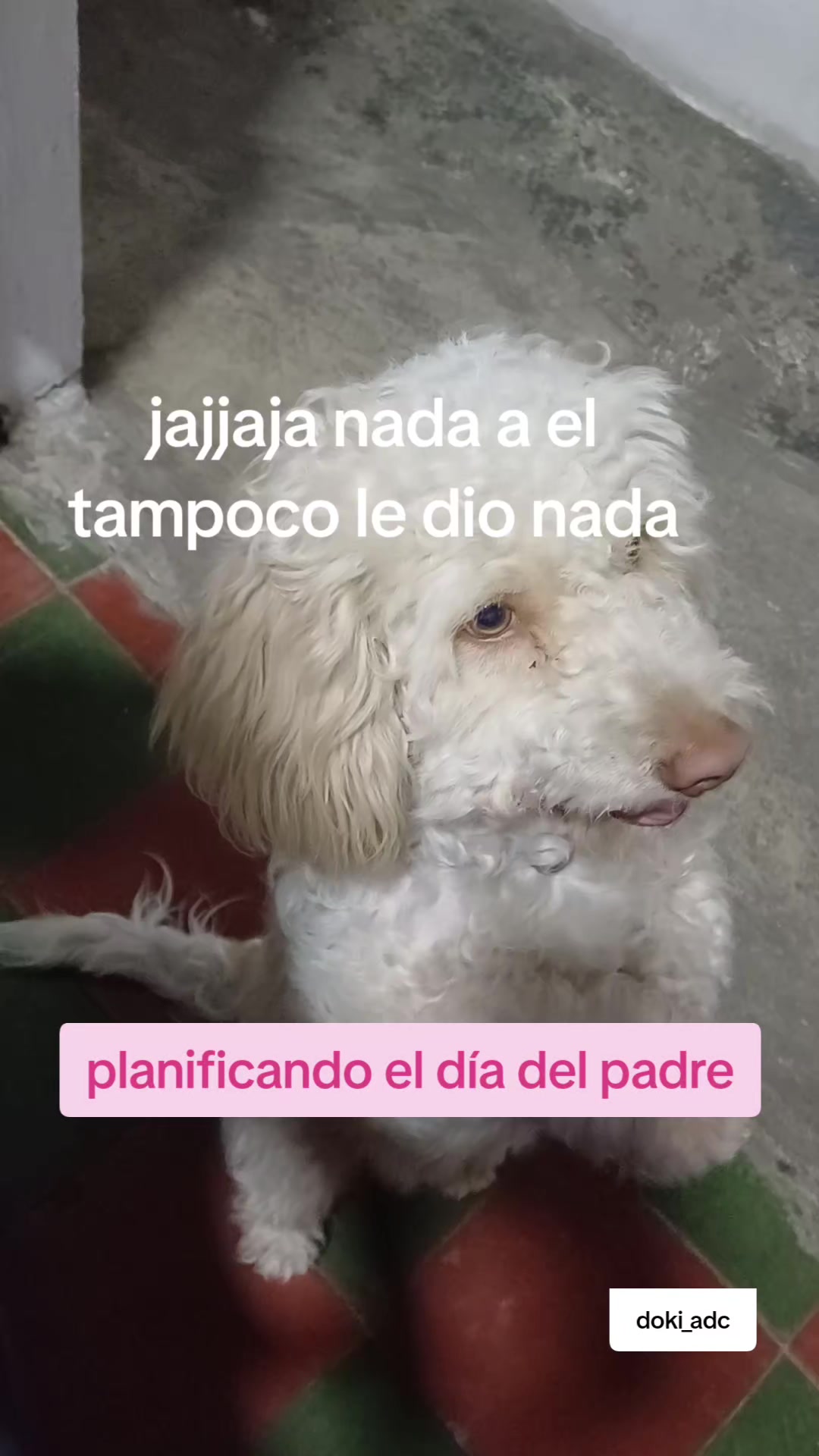 @dulce luna