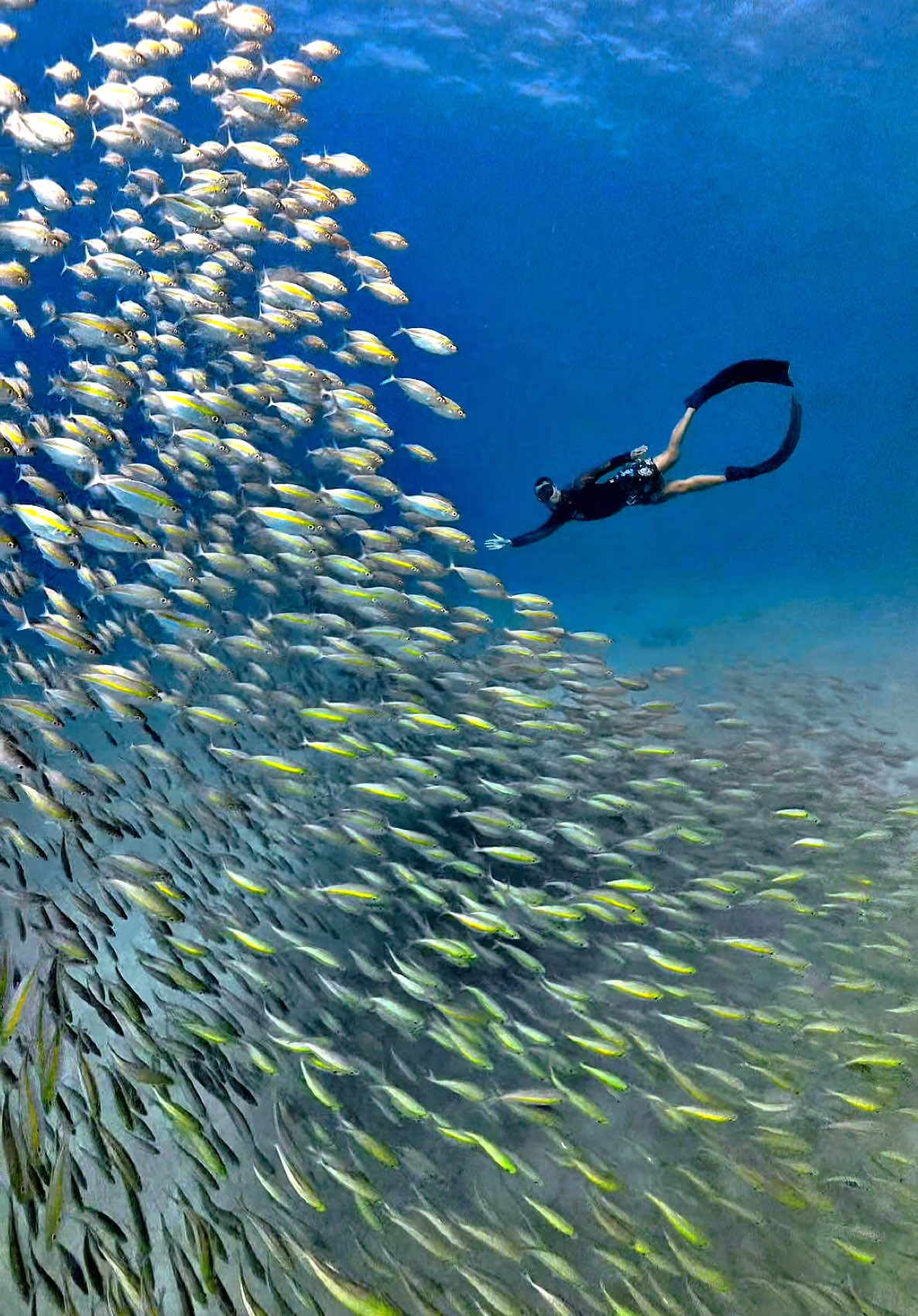 @Love Freediving Nha Trang
