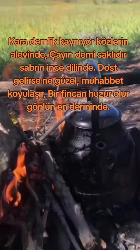 @yılmaz &Ccedil;etinkaya