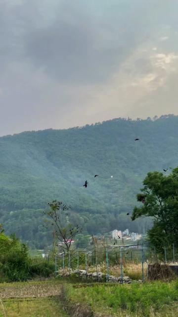 @वरुन तामाङ