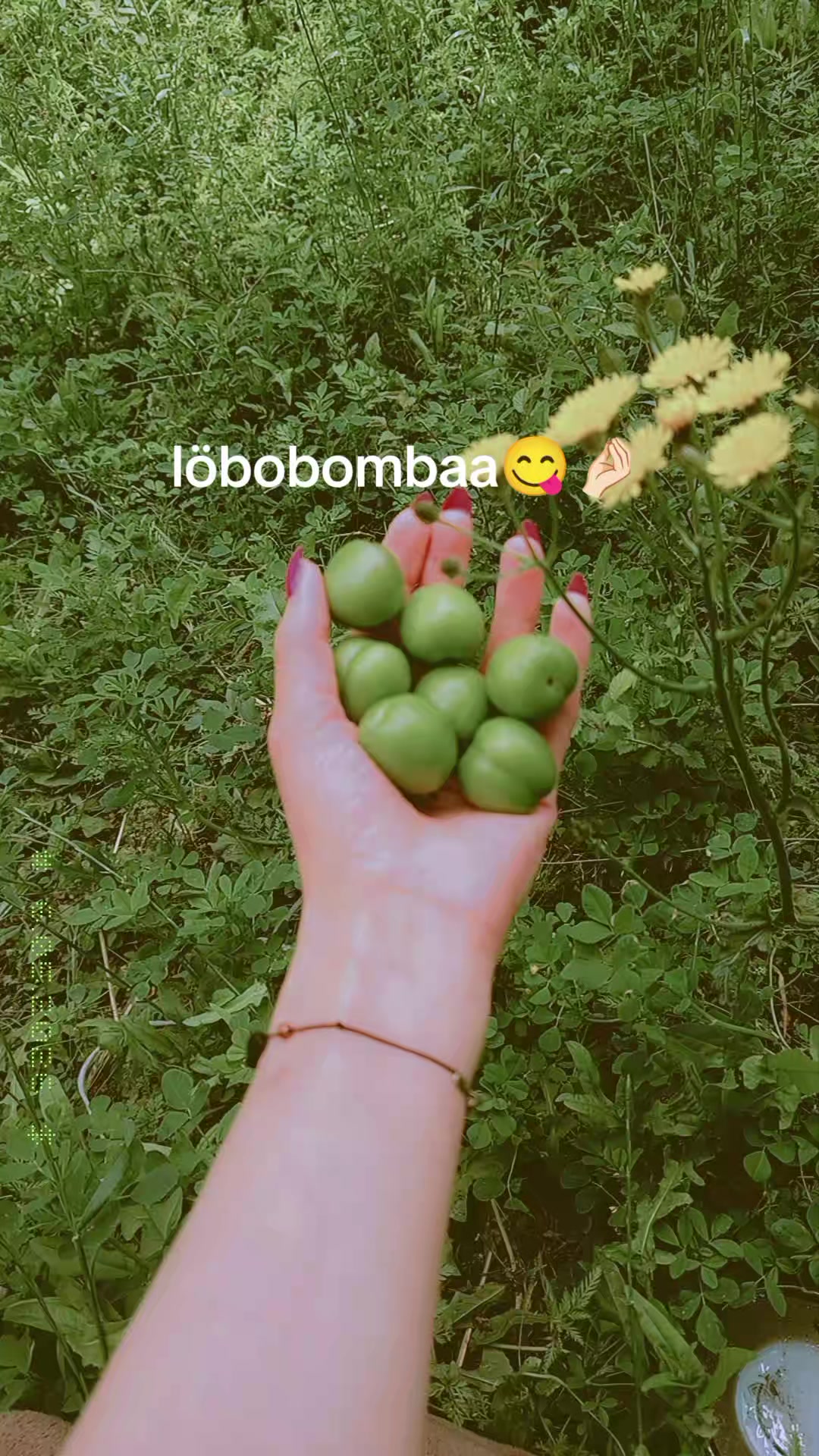 @꧁♔sℯ𝓋𝒶♡꧂