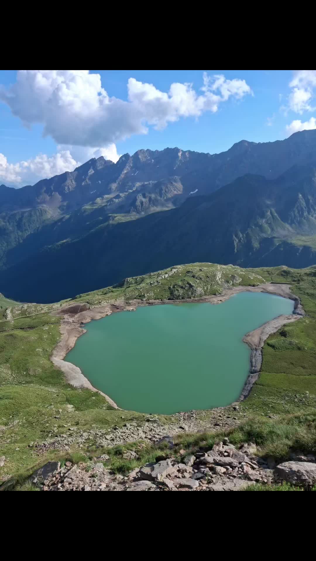 @il carrista di tik tok