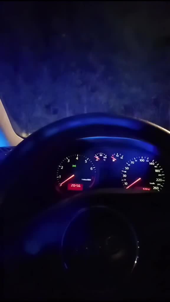 @Lysik_19