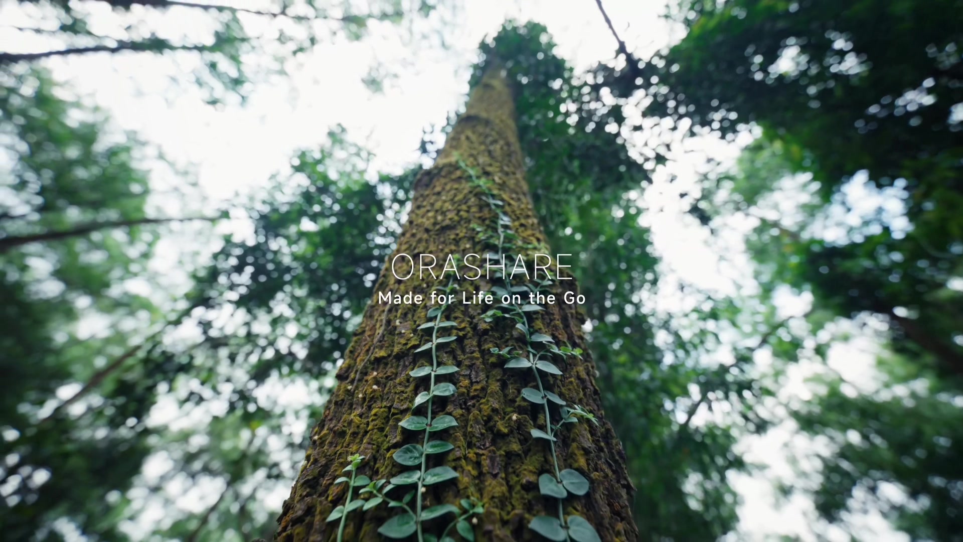 @Orashareph