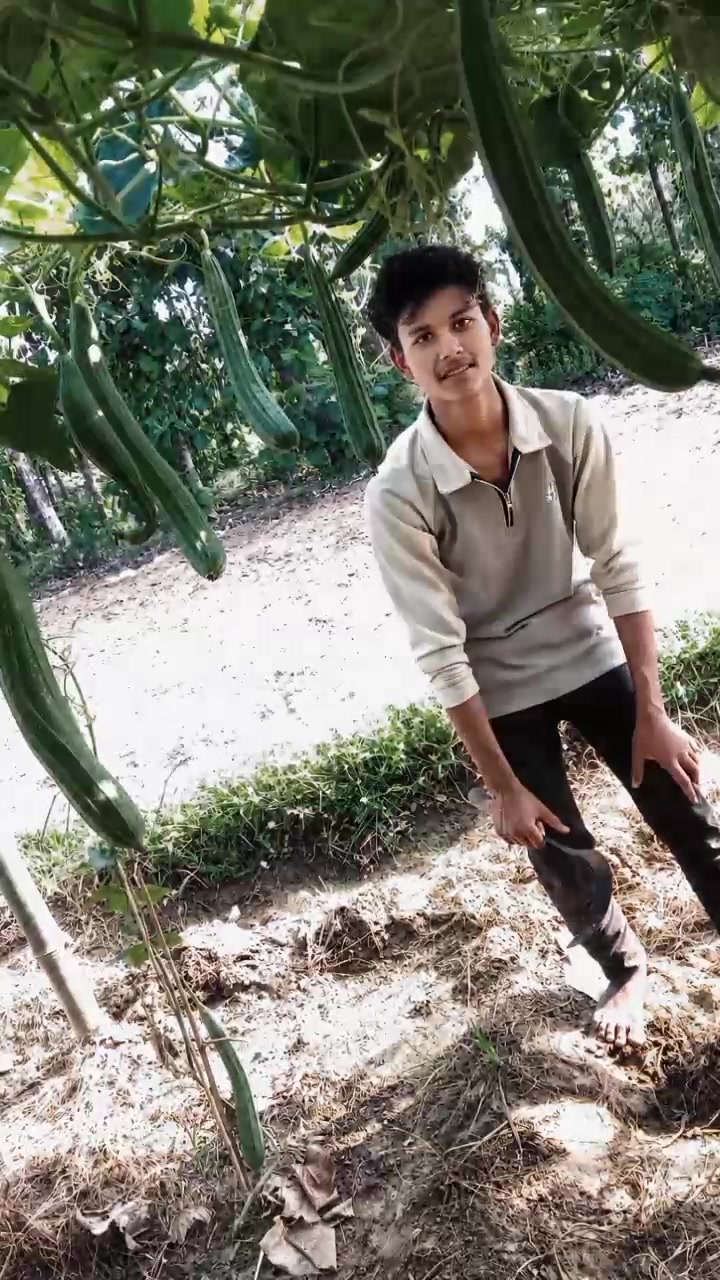 @Maurya Krn