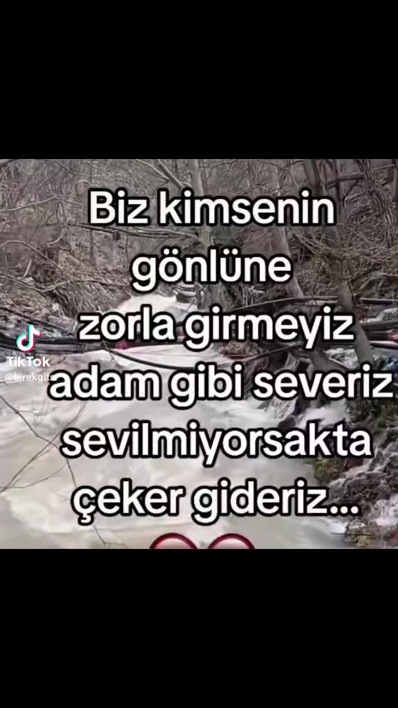 @kurt bey 52