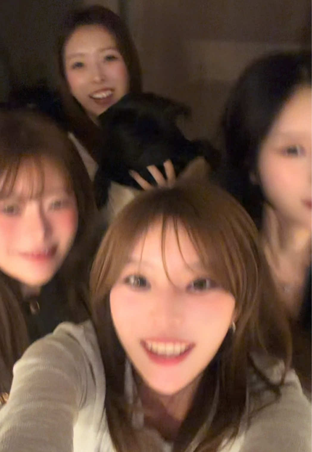 @出禁組