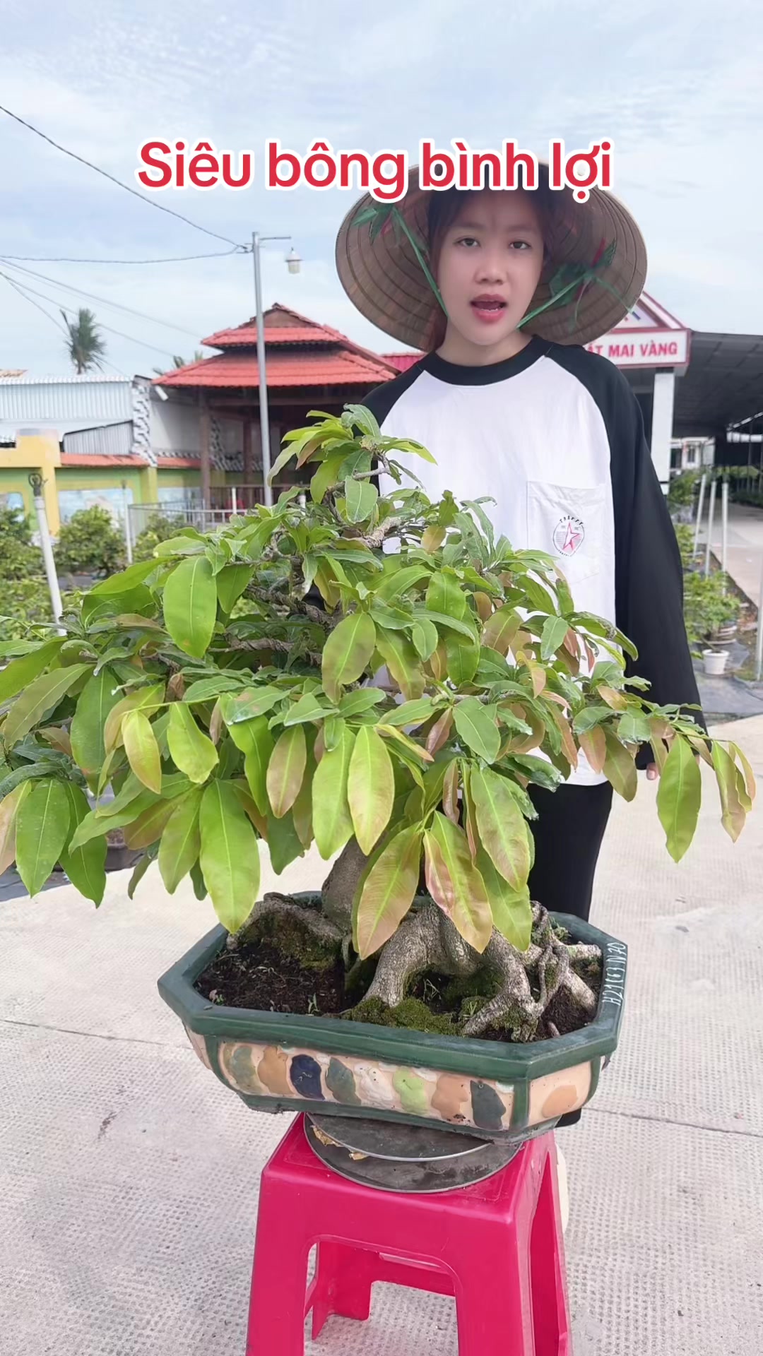 @Chichchoebong79