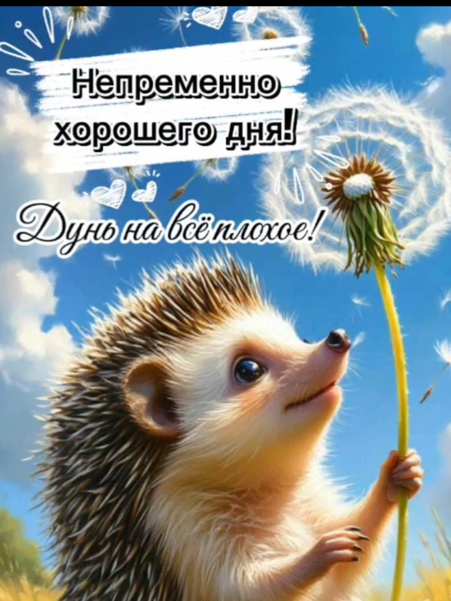 @Ольга
