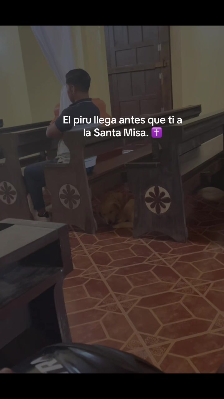 @chico católico1