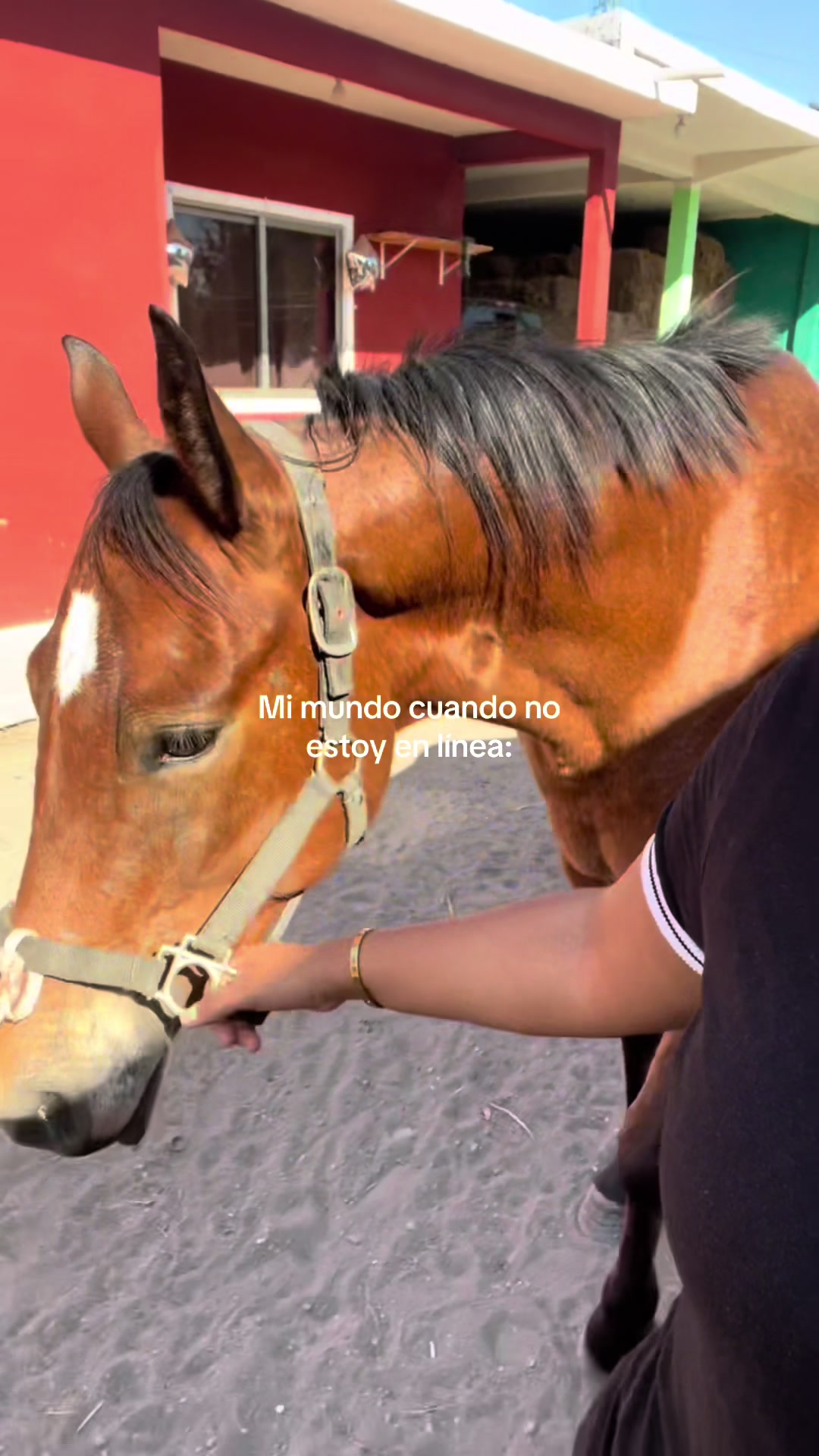 @Araceli García 🏇