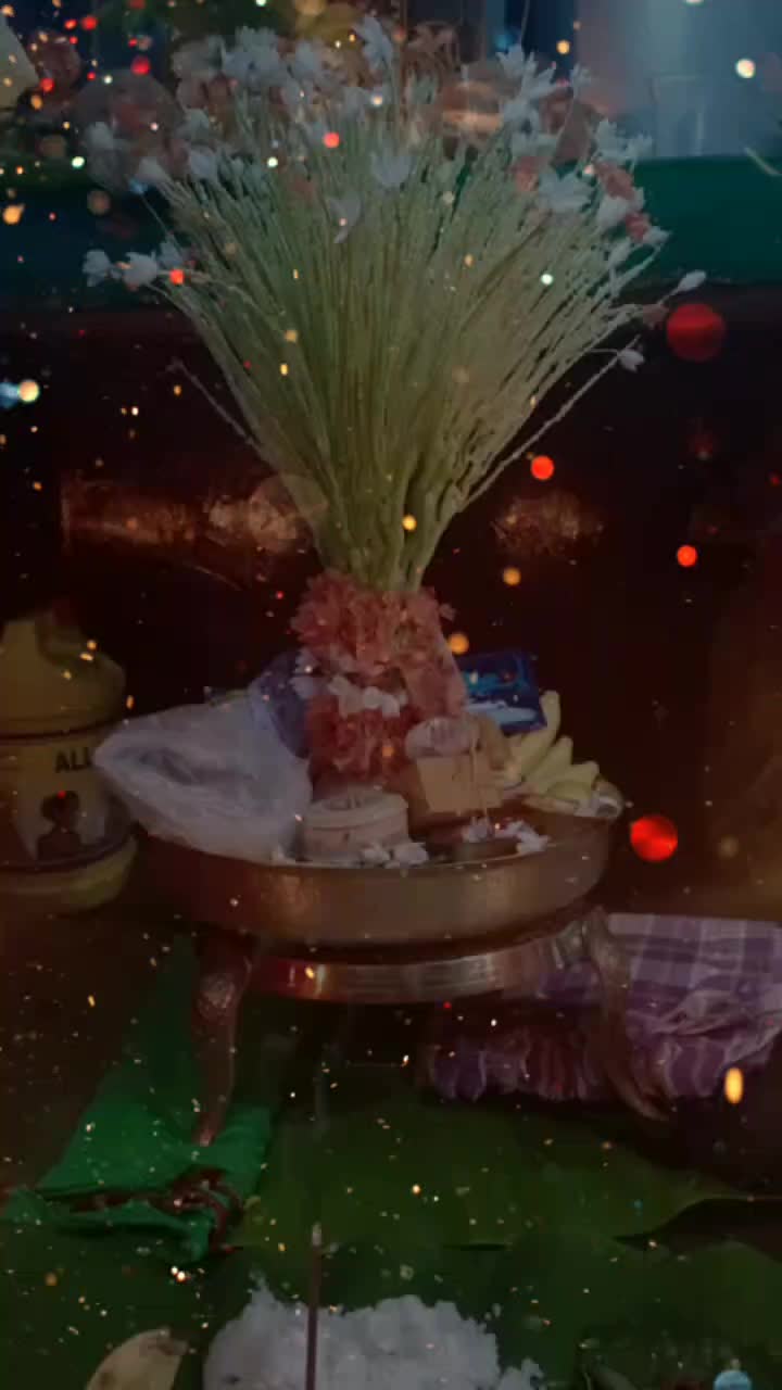 @ದಯಾನಂದ ಆನಂದ